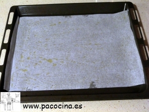 Placa para horno Placa para horno