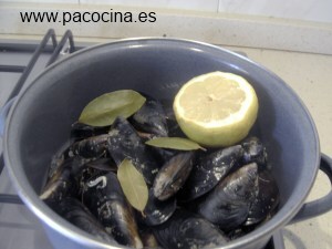 Mejillones al vapor Mejillones al vapor