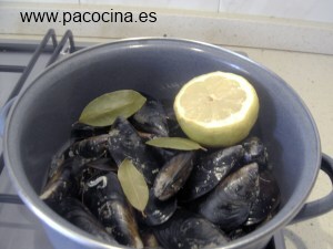 Mejillones al vapor